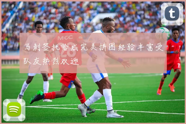 马刺签托哈成完美拼图经验丰富受队友热烈欢迎