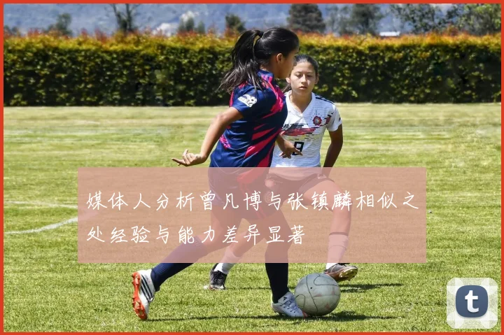 媒体人分析曾凡博与张镇麟相似之处经验与能力差异显著