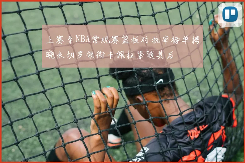 上赛季NBA常规赛篮板对抗率榜单揭晓米切罗领衔卡佩拉紧随其后